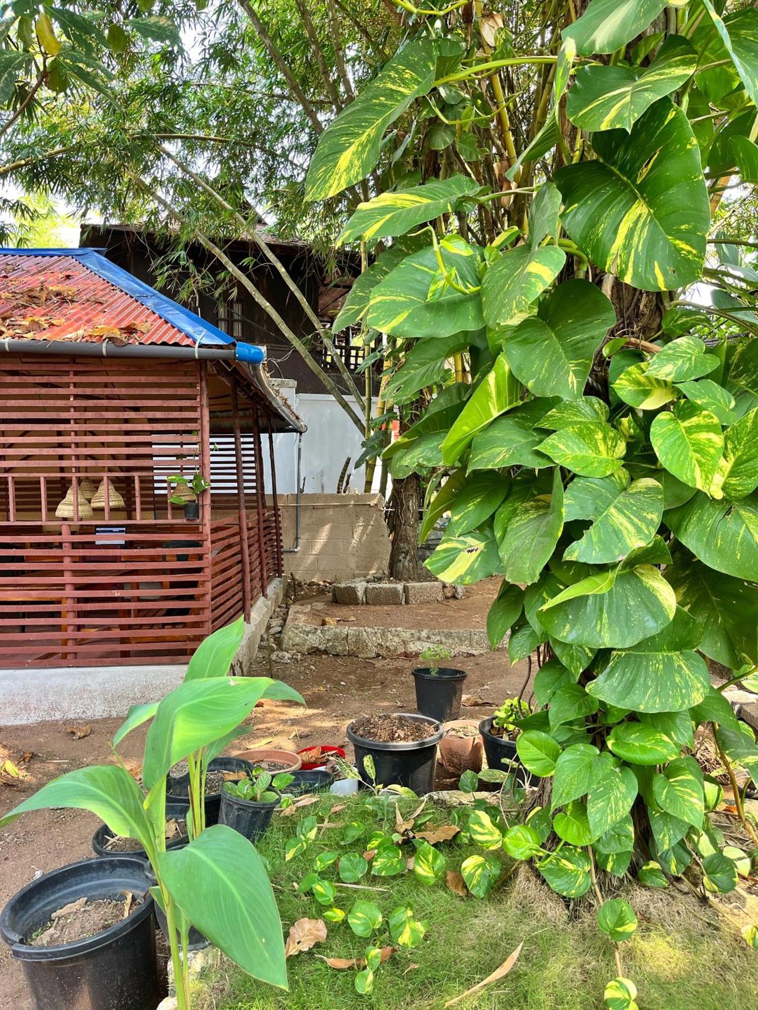 Bava Beach Resort & Retreat Center Varkala Ngoại thất bức ảnh