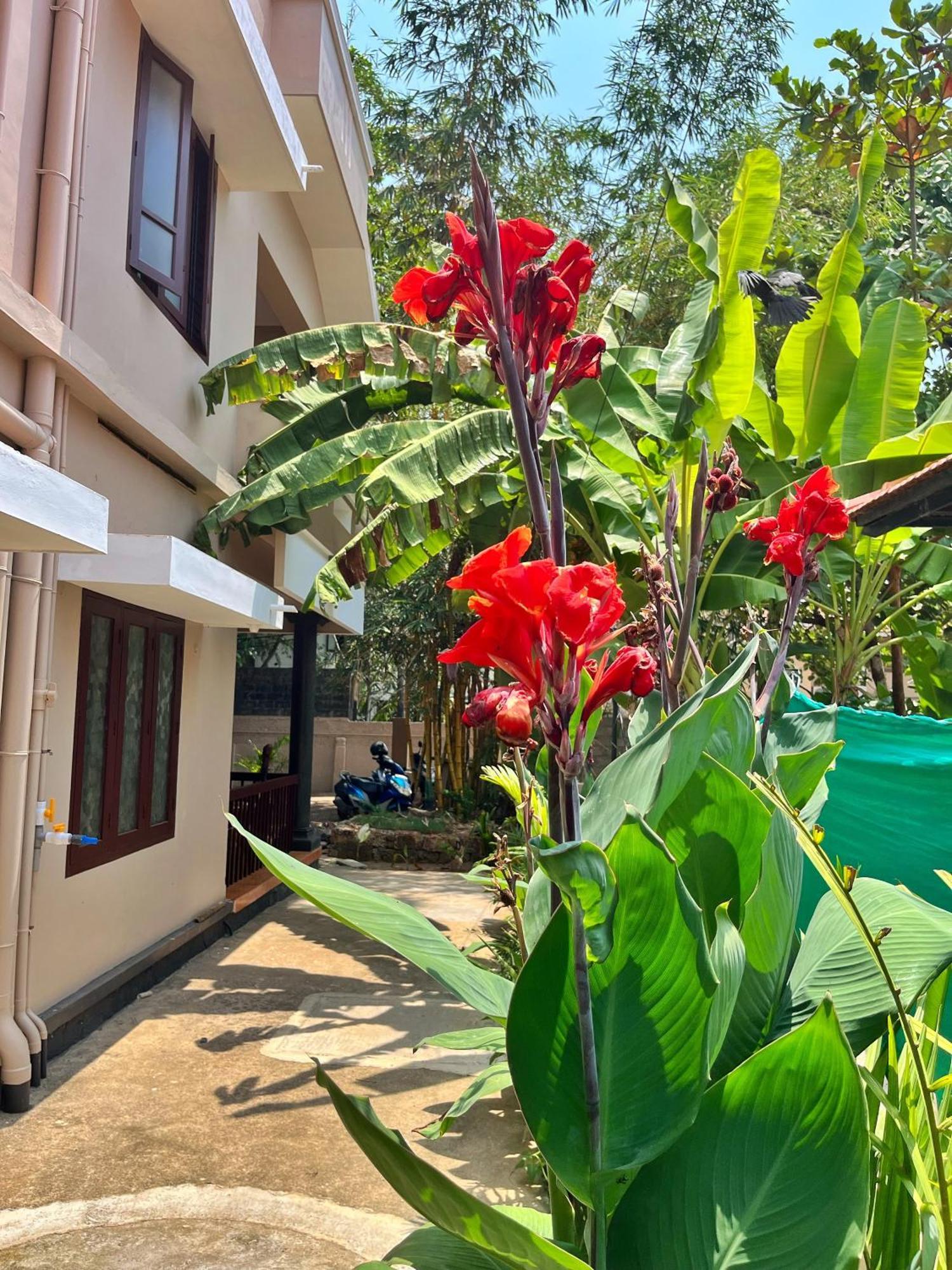 Bava Beach Resort & Retreat Center Varkala Ngoại thất bức ảnh